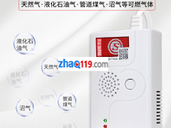 多種燃?xì)鈾z測器
