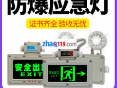 LED防爆應(yīng)急燈照明一體消防通道